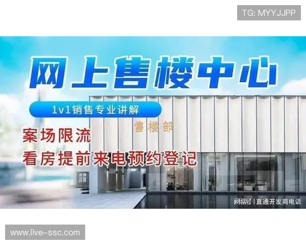 订阅制服务模式快速崛起，重塑体育消费生态