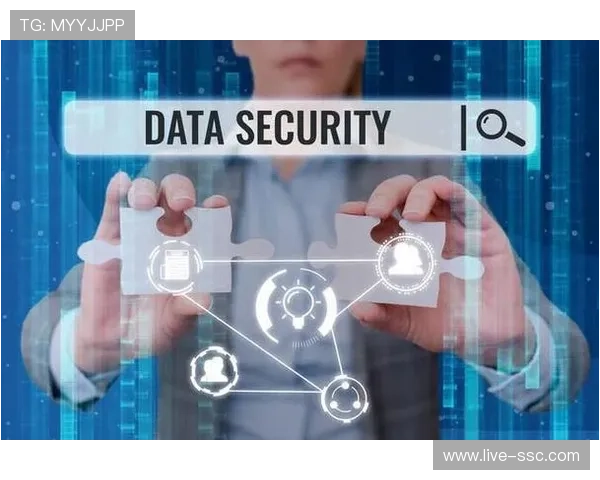 隐私增强技术实战化应用，平衡数据分析与保护